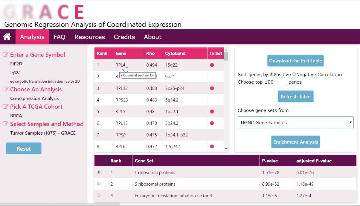 submit enrichment analysis