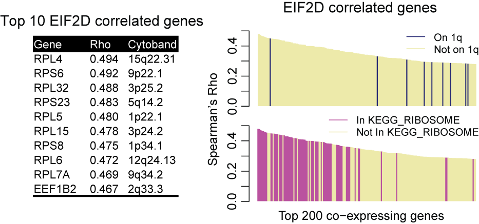 EIF2D coexpressing genes by GRACE method