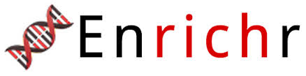 Enrichr_logo