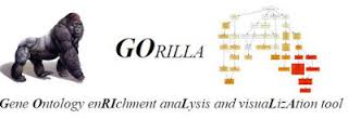 GOrilla_logo